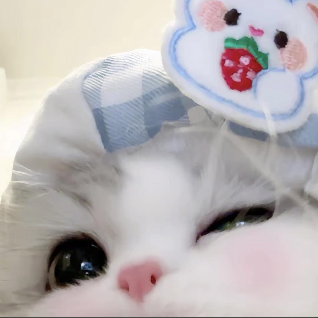 我不要圆圆脸🎀