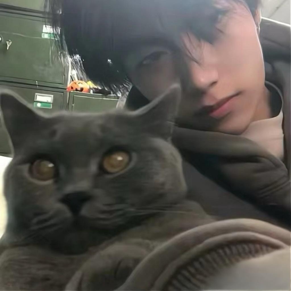 小猫飞走啰🌨️