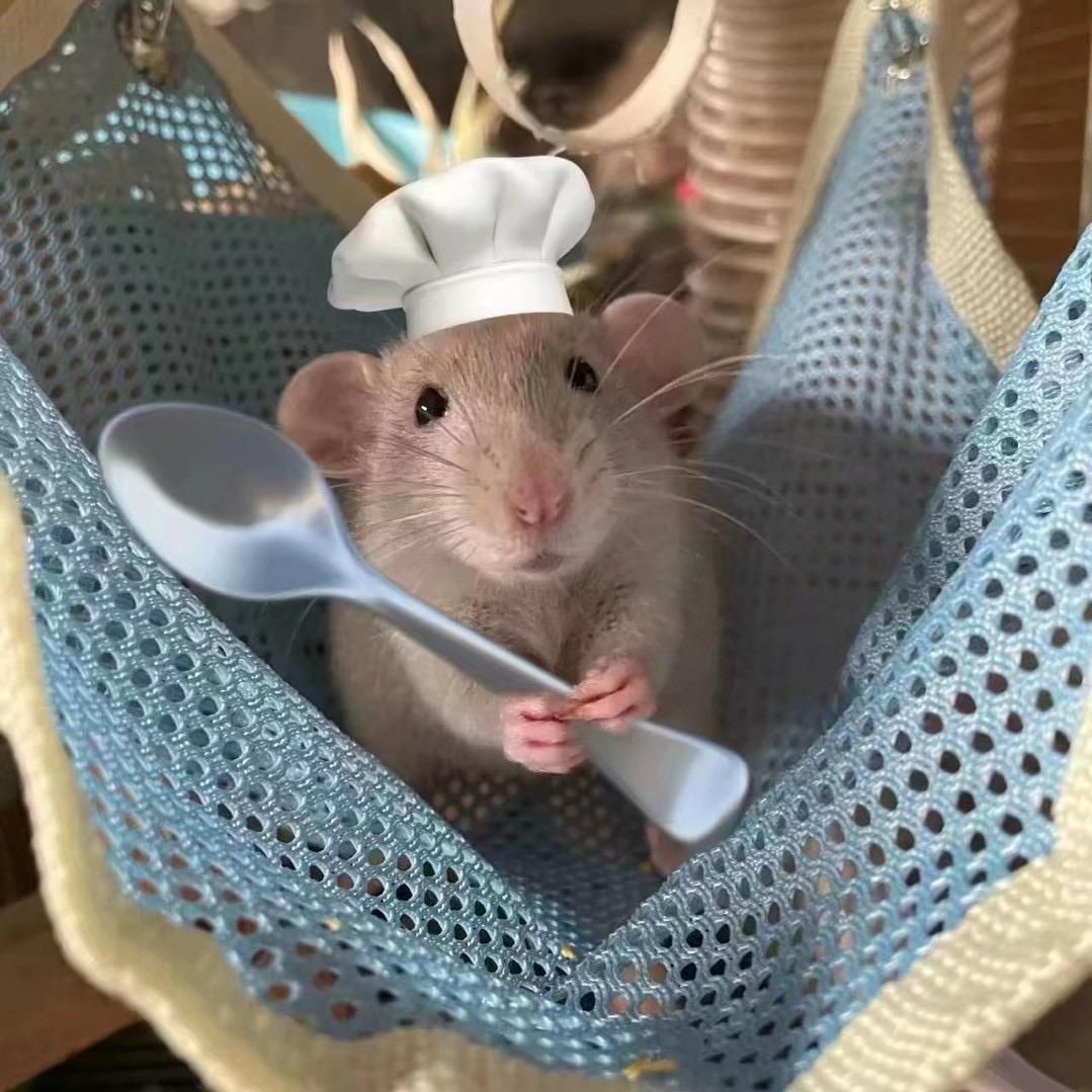 H。。。。。。