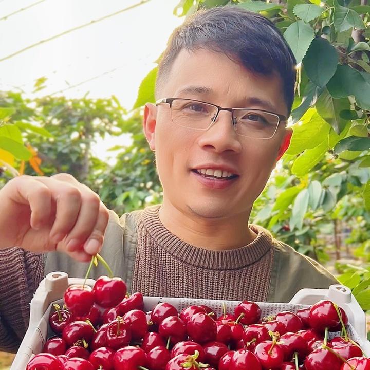 牛油果中登