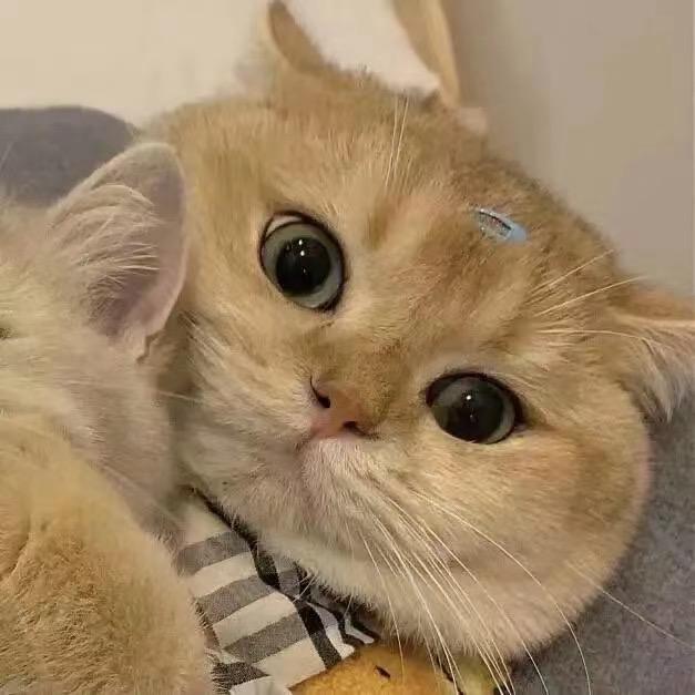 我菜我不难受吗#46364