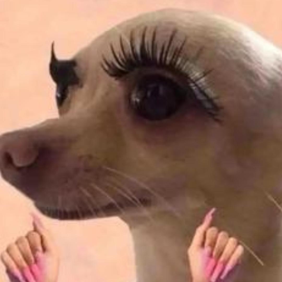 跪着求自己少吃一点发现跪下也能吃