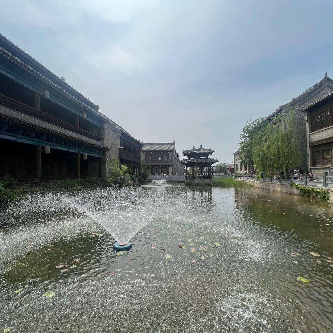 默默成长的南瓜