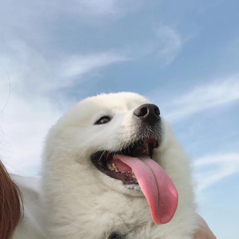 果冻饿了