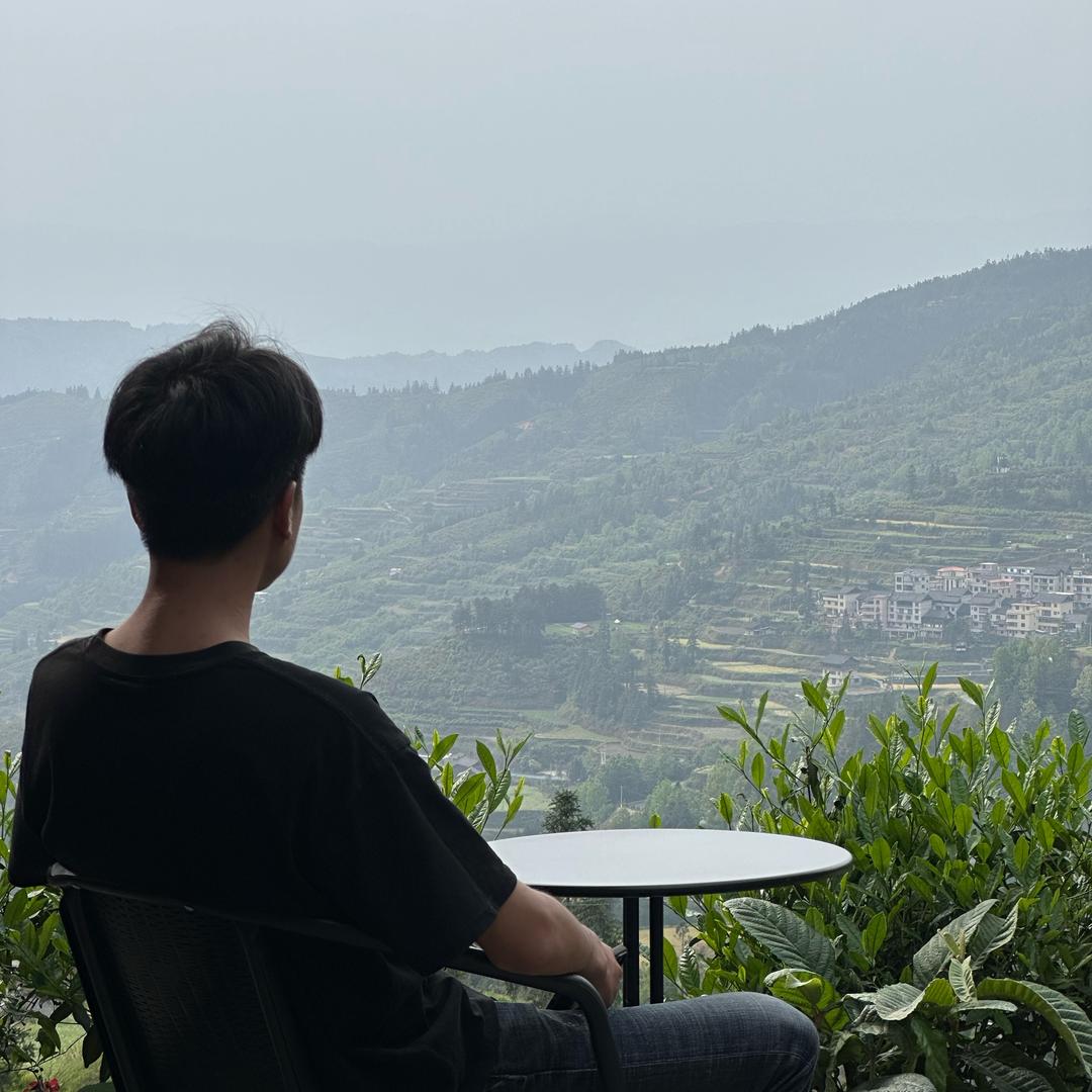 去山水间~蓝桉