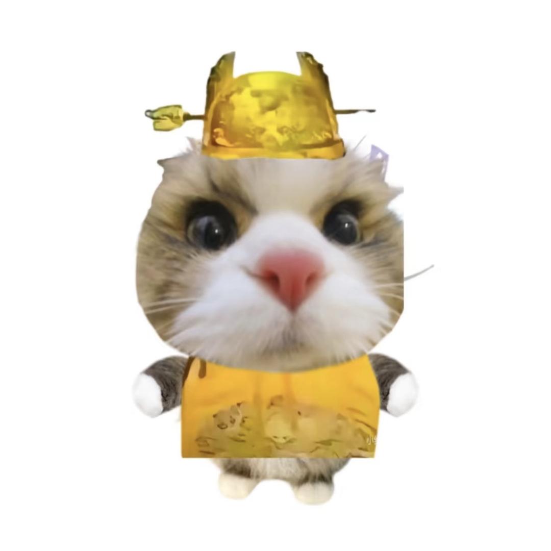 猫猫教