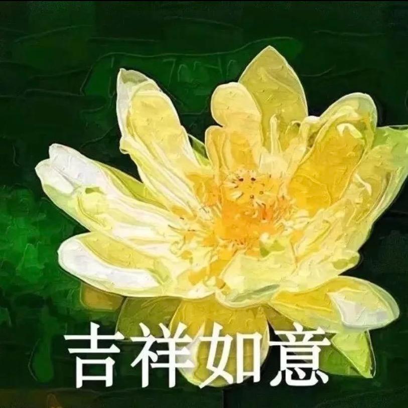 星巢小馆