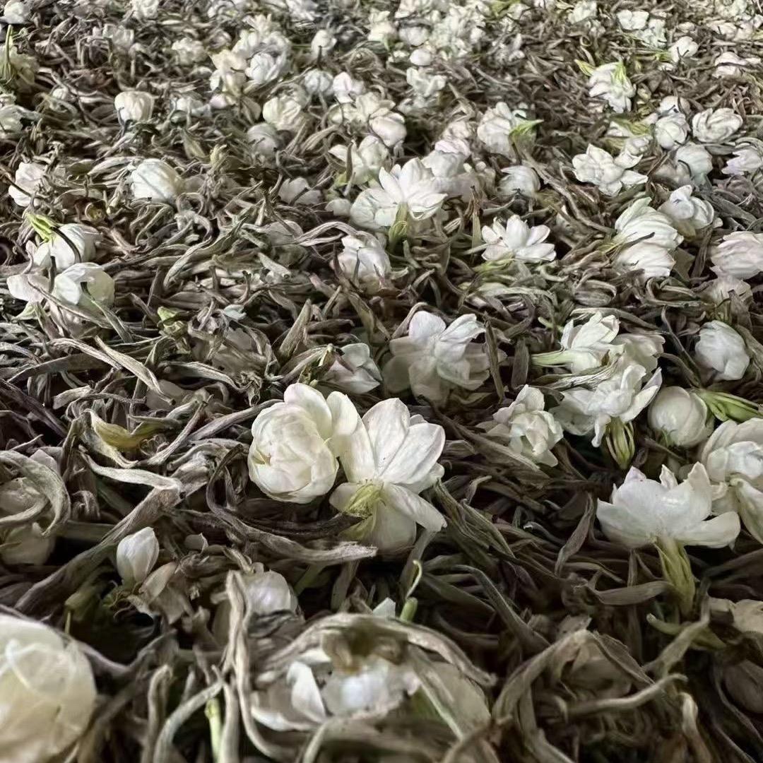 北京小宁悦时茶行