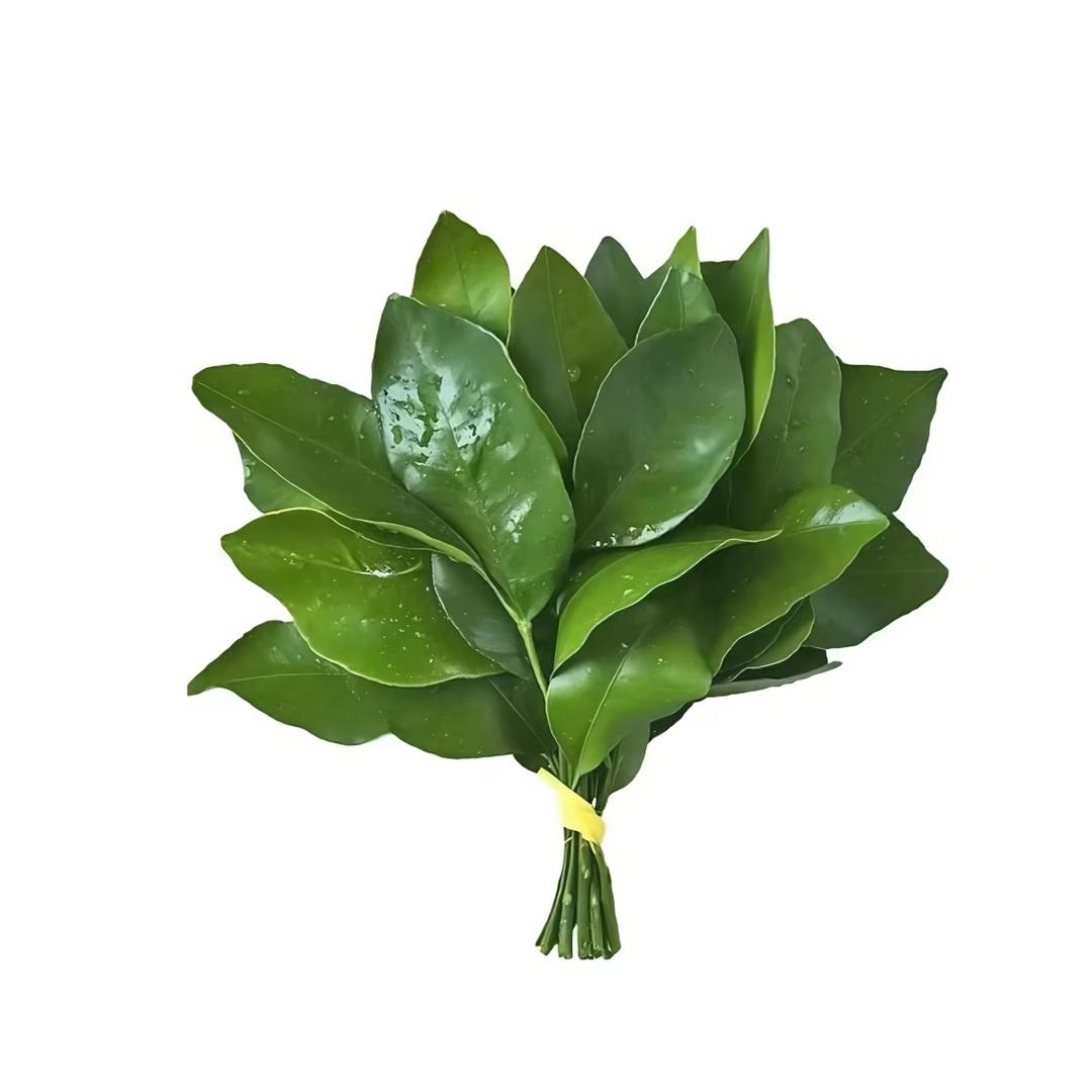 喜欢远方