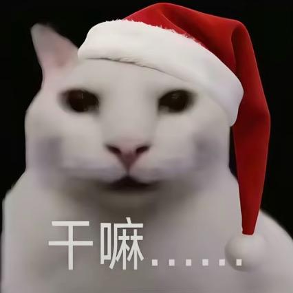 AAA国道半挂老郑