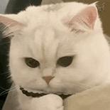 王大贝的二下巴