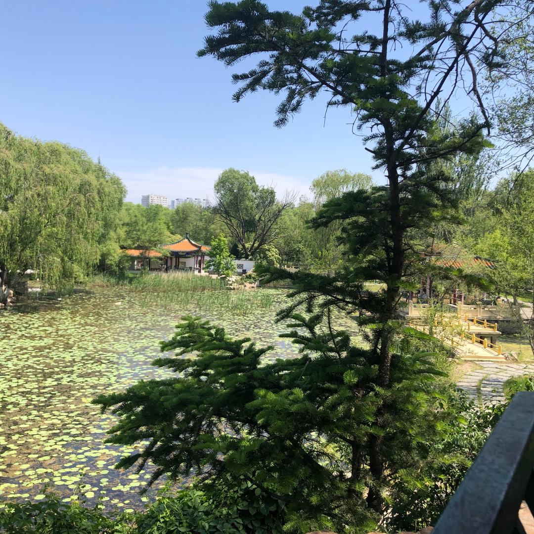 乐儿乐(骨折康复中)