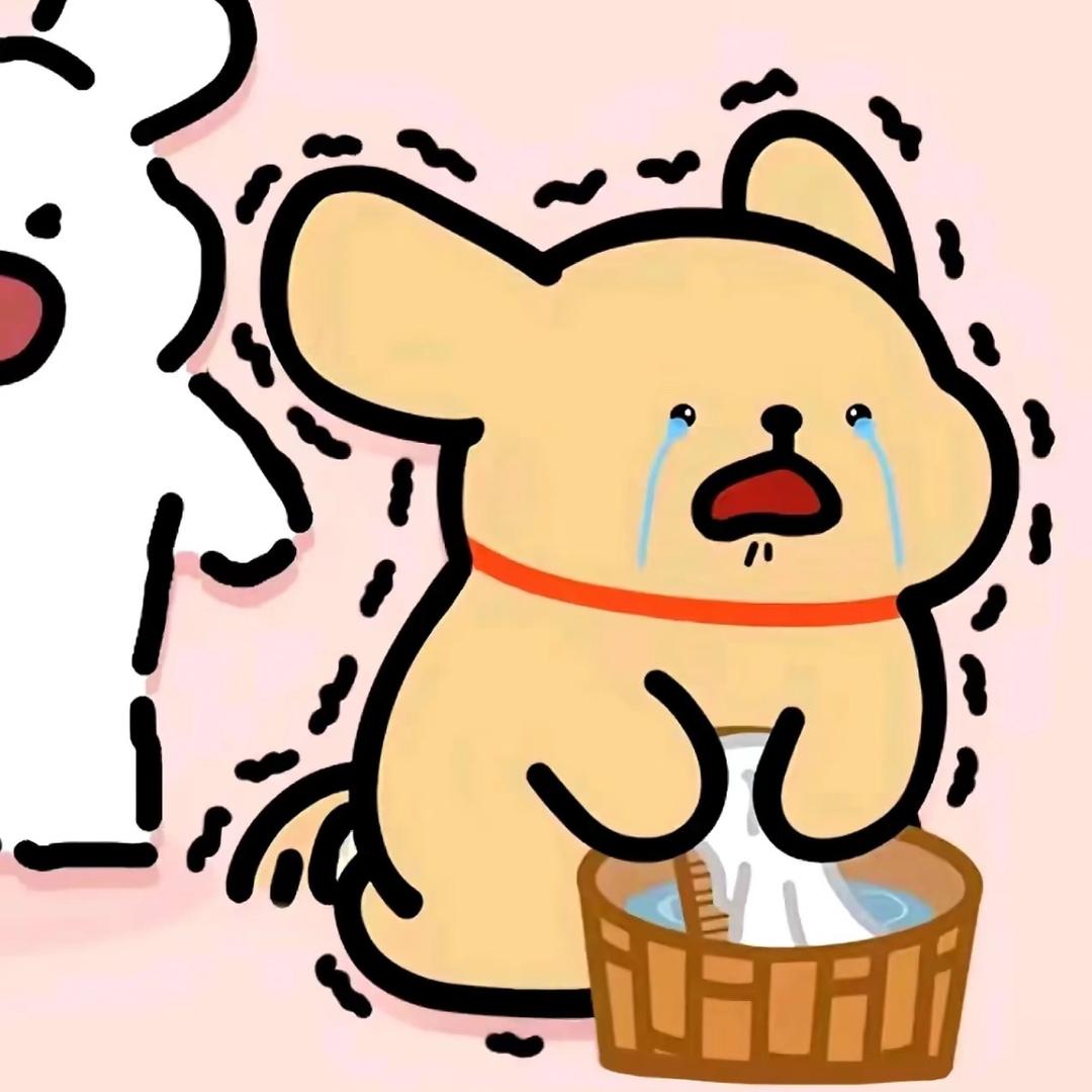 狐了个恰恰猫🐱