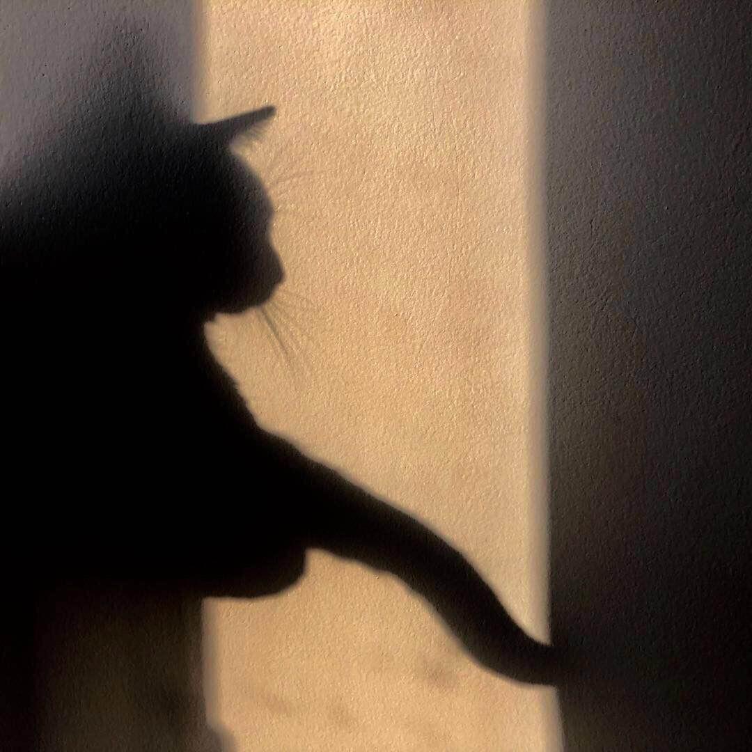 hold me now
