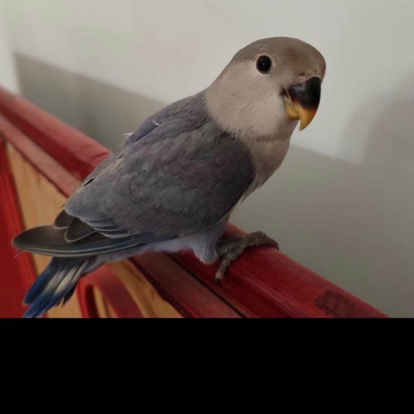 🌈🌈Mr陈🇨🇳