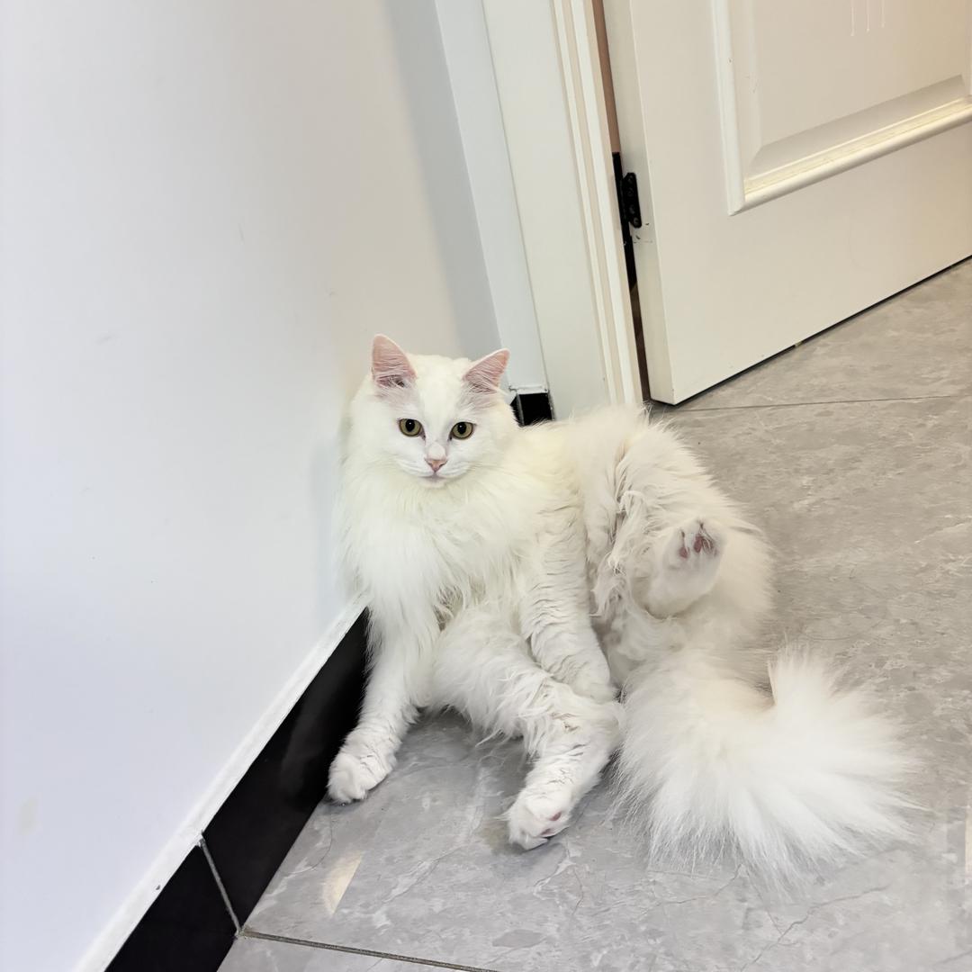 知进退，明得失