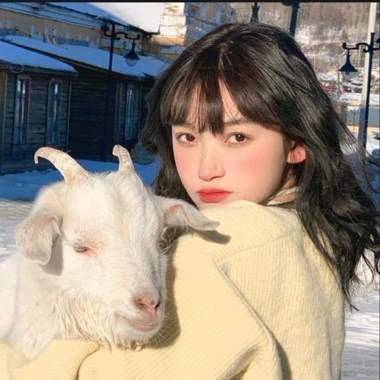 小松菜丹