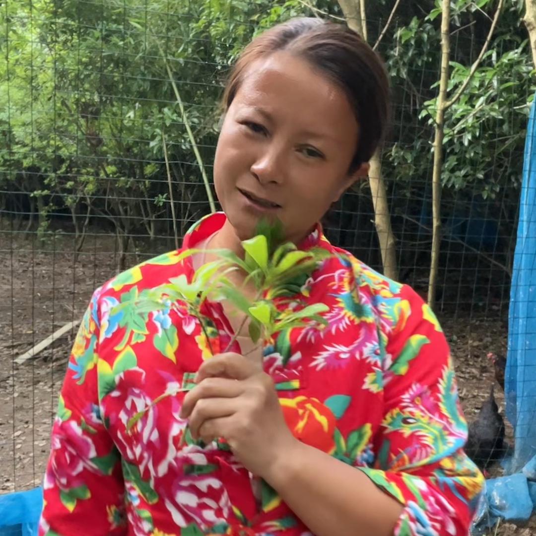 小爱生活号