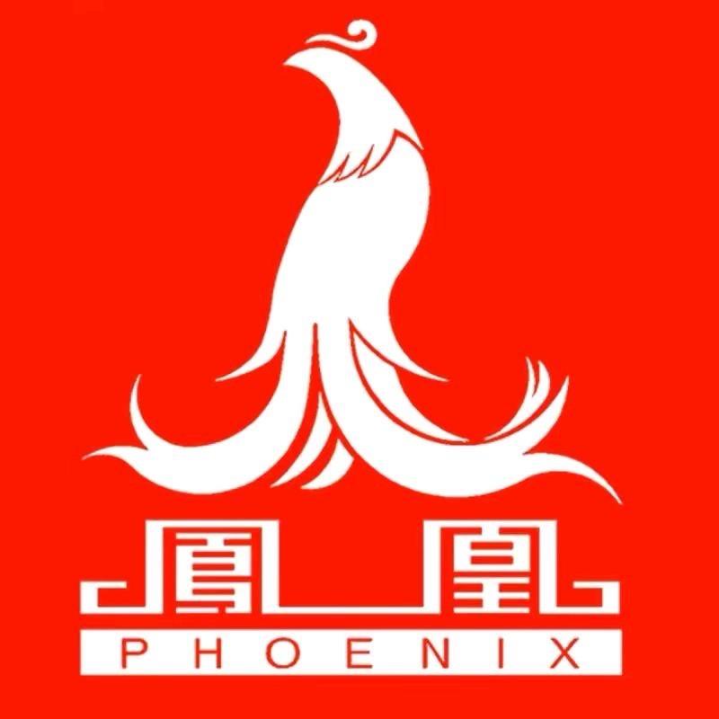 凤凰曼恩自行车专卖店