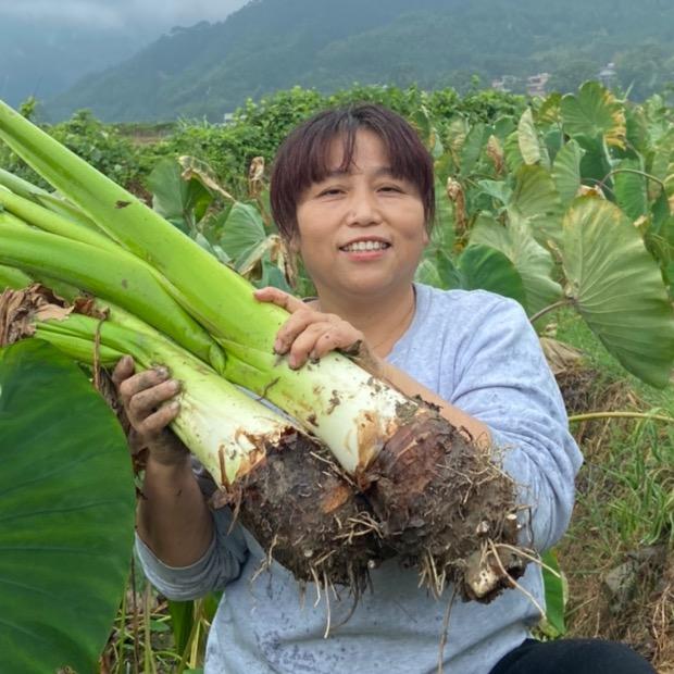 香芋凤姐