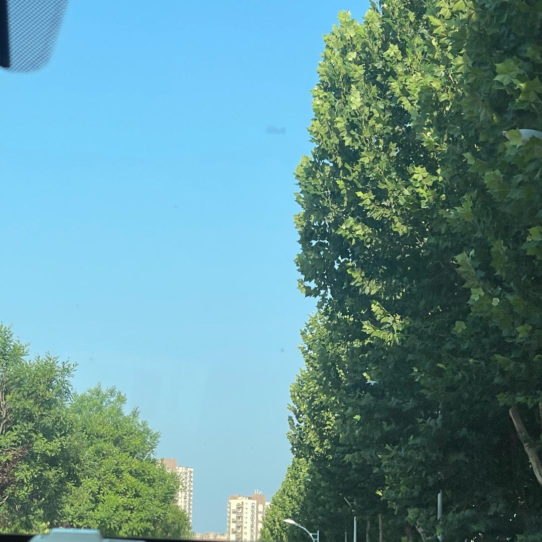 楠洋洋