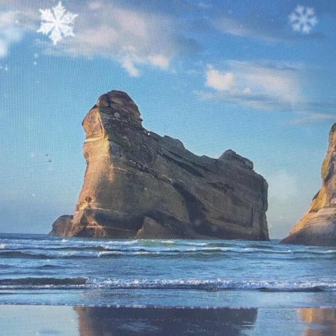 三十岁的海狗