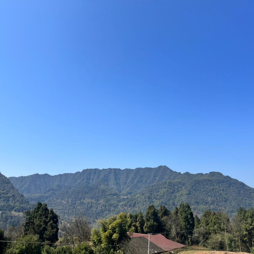 饶燚伟