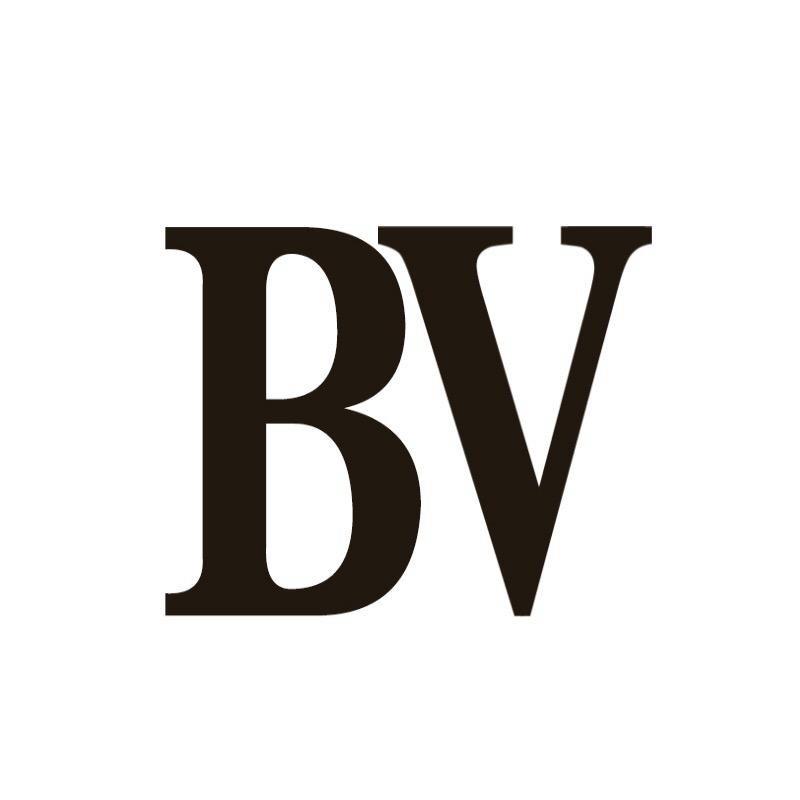 BV手工包包