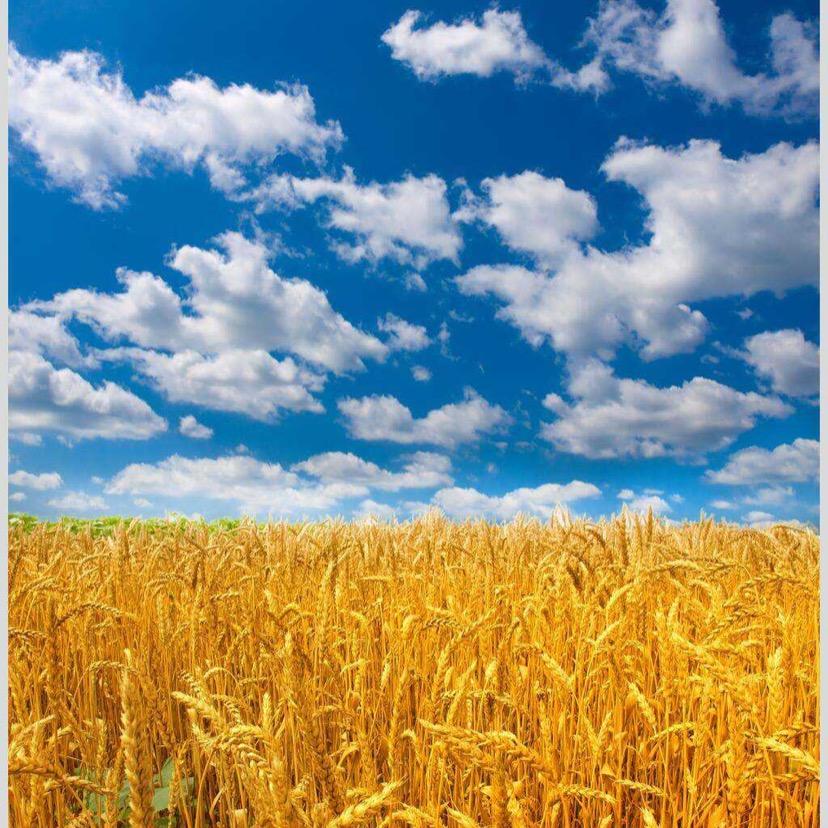 连云港宝妈蓉姐