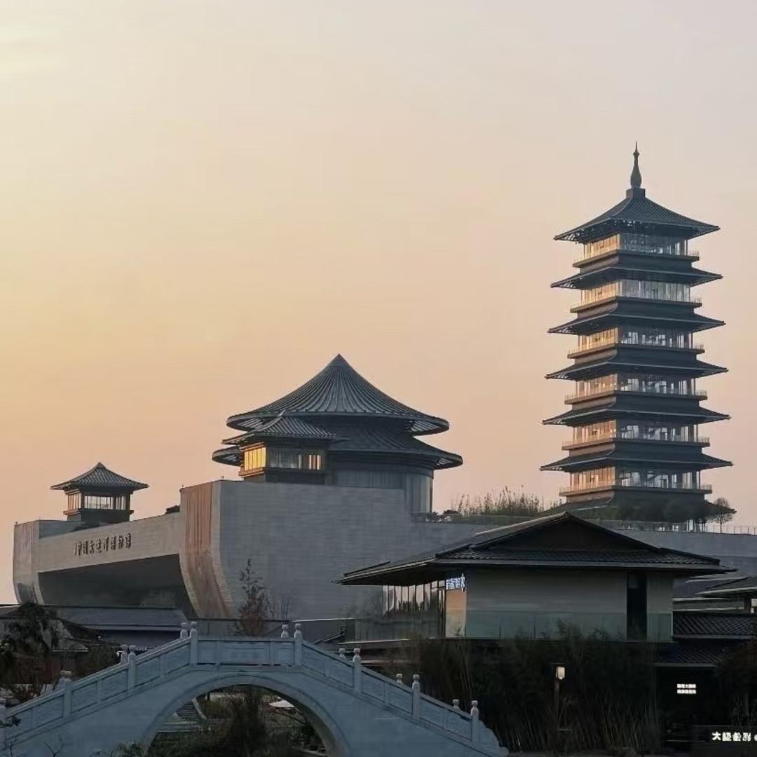 🐶🐻看什么看