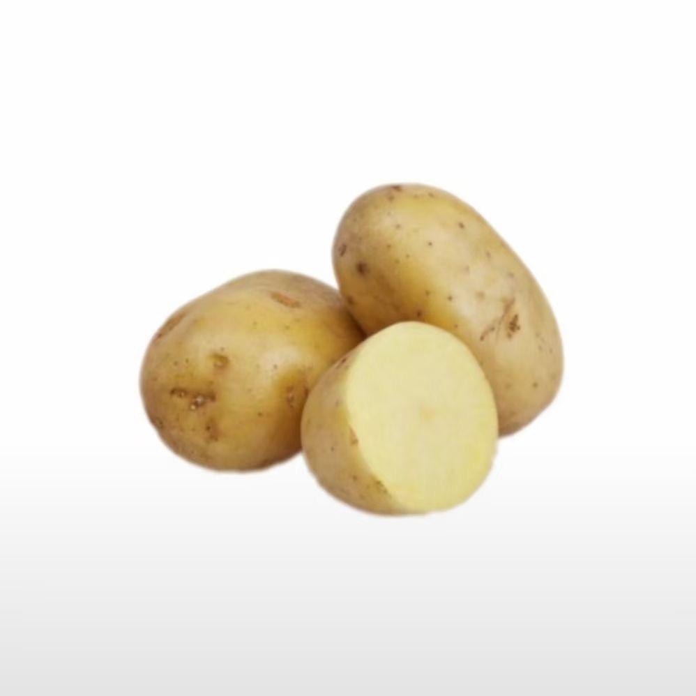 整个一🥔脑袋