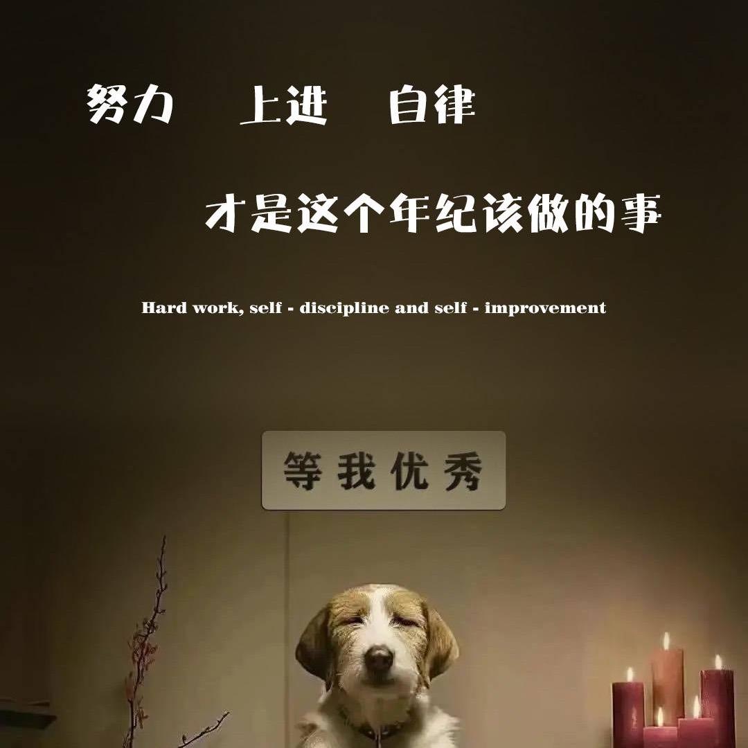 站在云顶