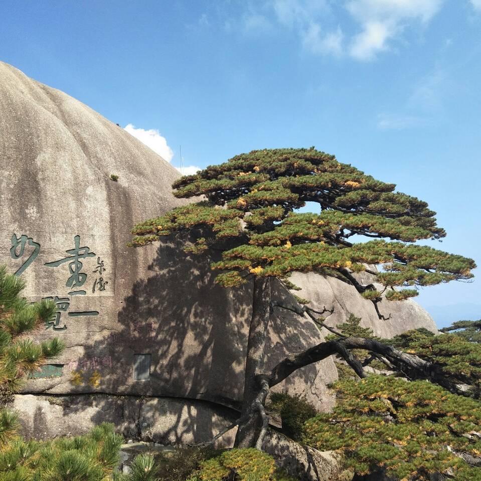 随遇而安