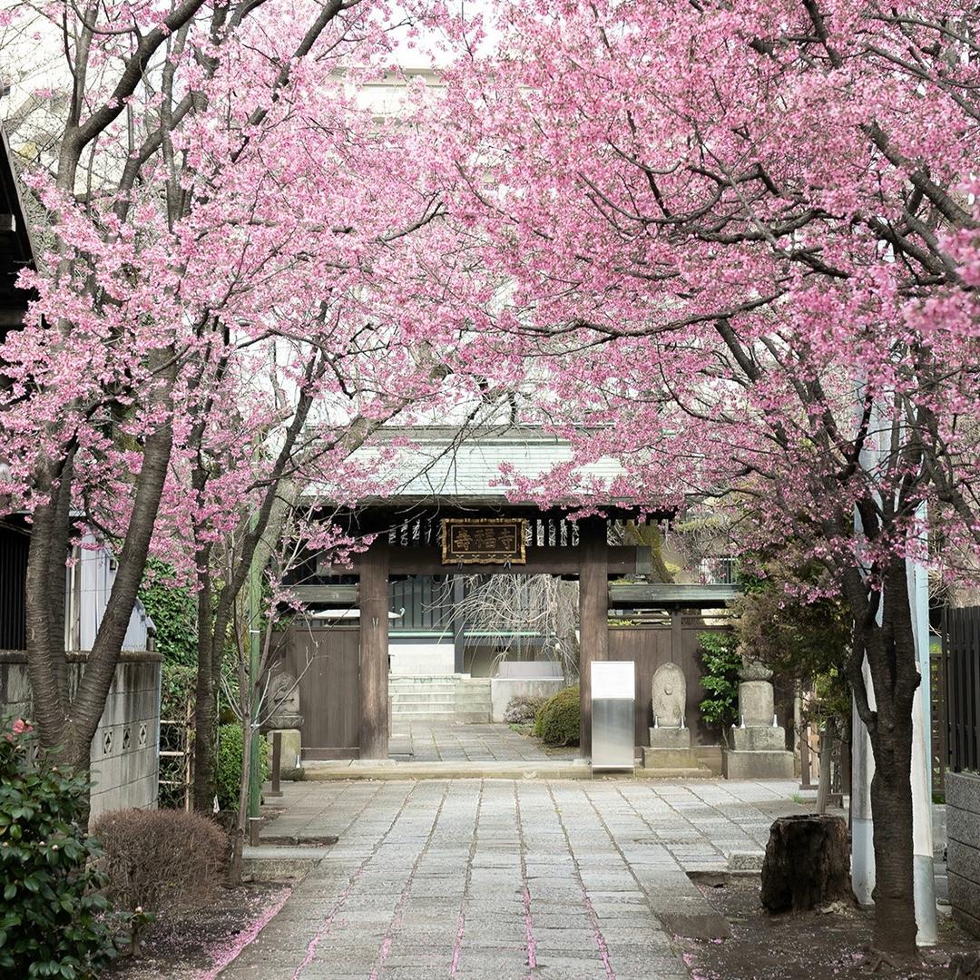 人间