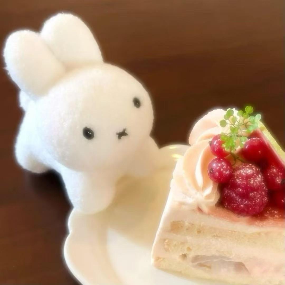 靓靓_Rainbow