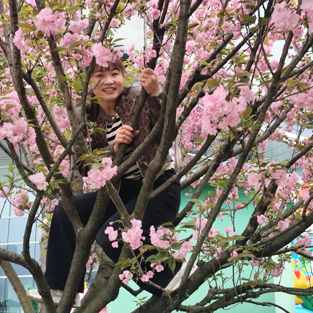 龙应丹自用好物