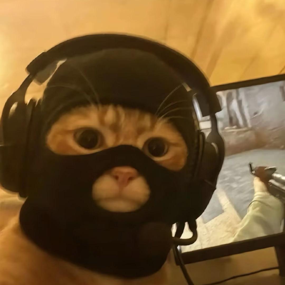 哈尼.