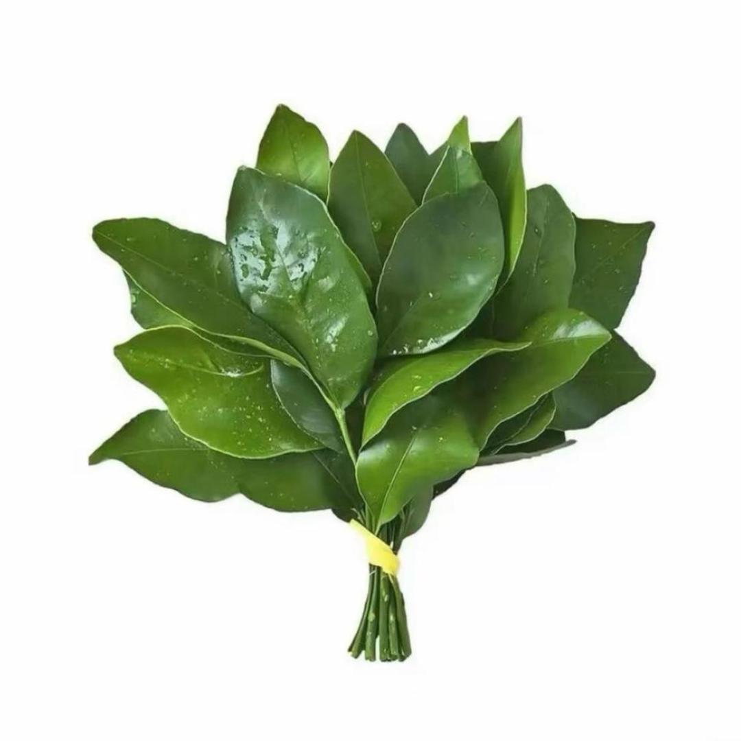 聪明伶俐睡不着