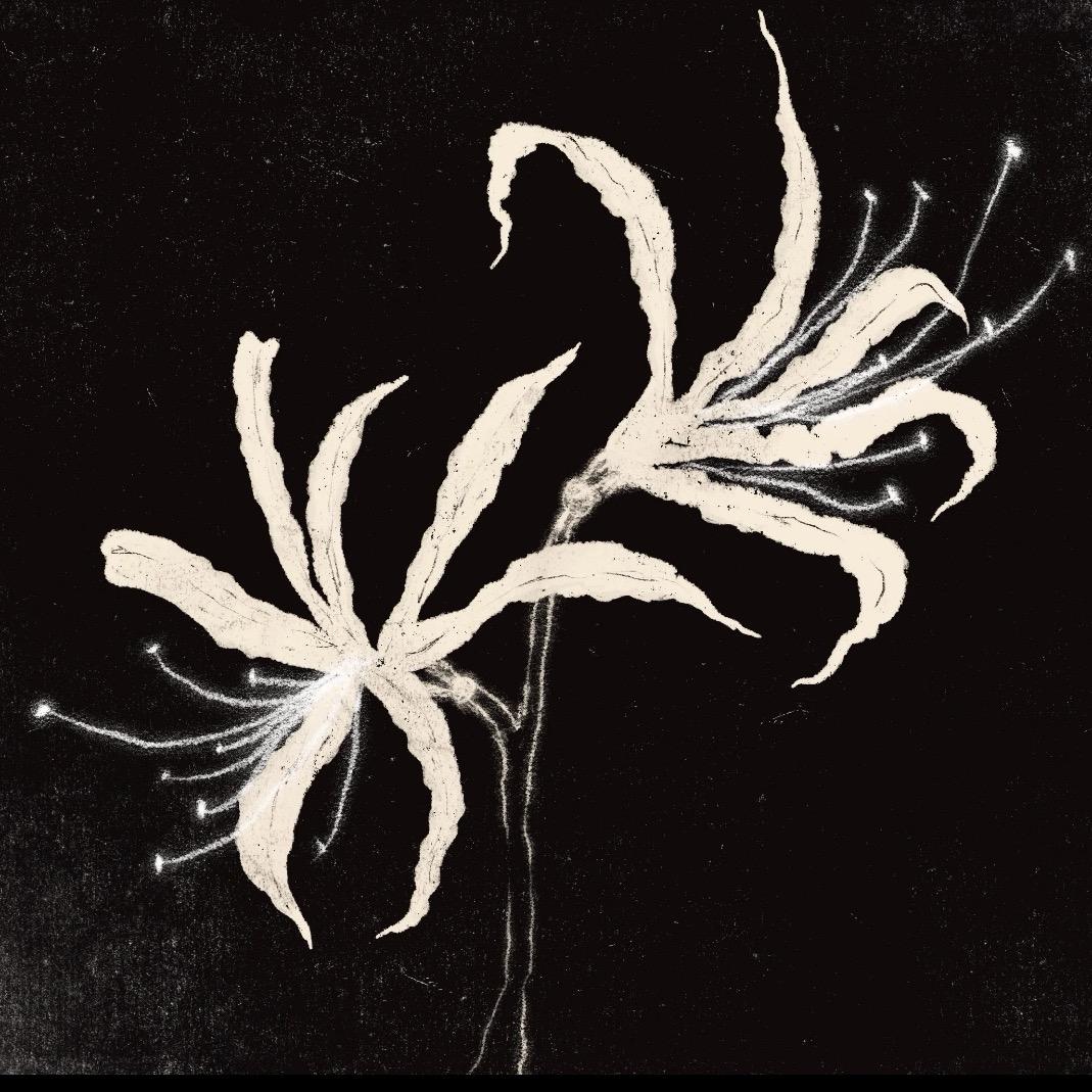 山下舞褚児₊⁺