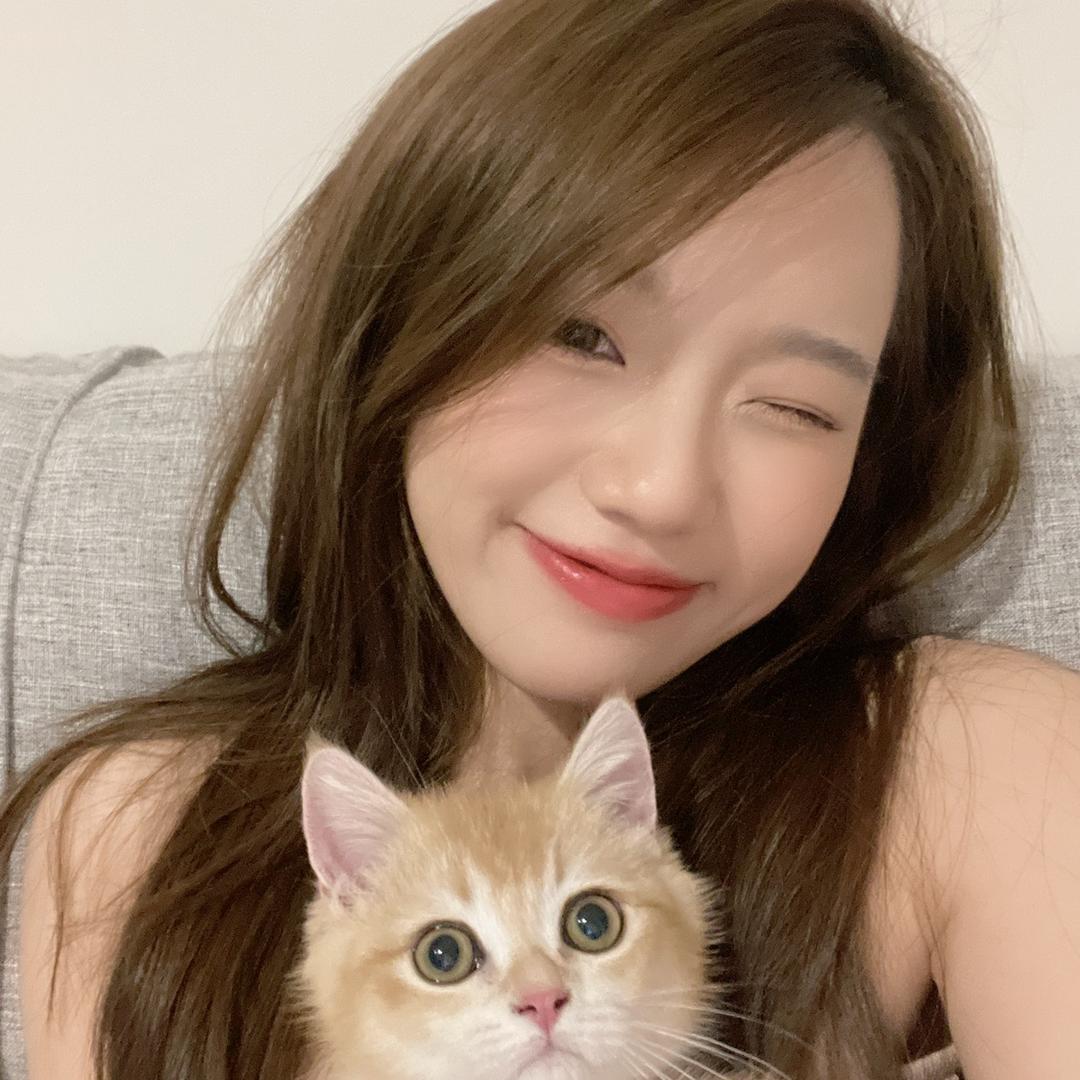 长麻毛毛兔🐰