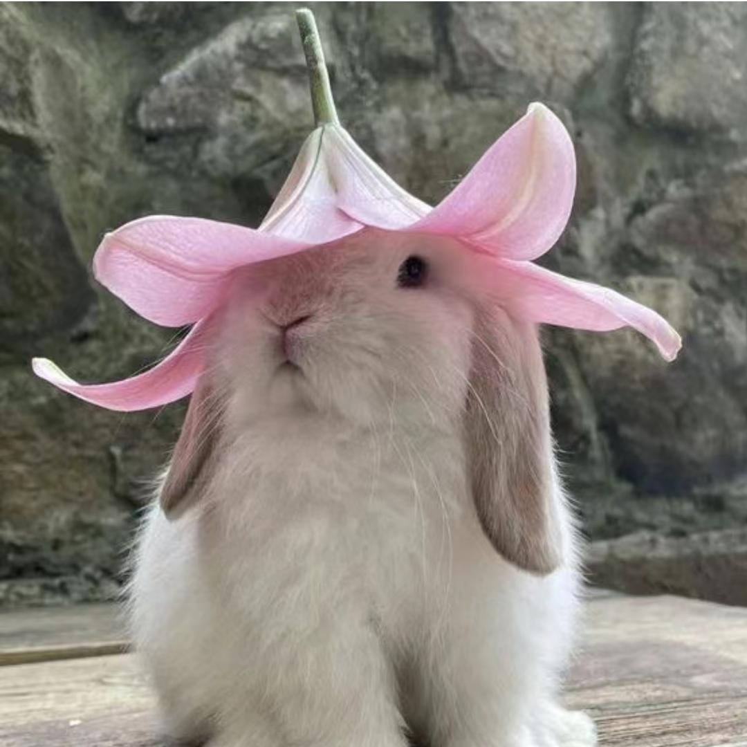 远方