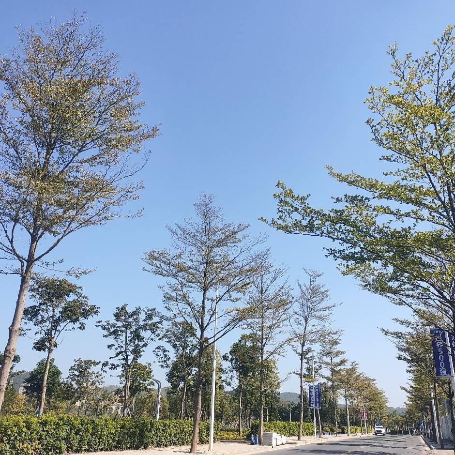 老熊出现