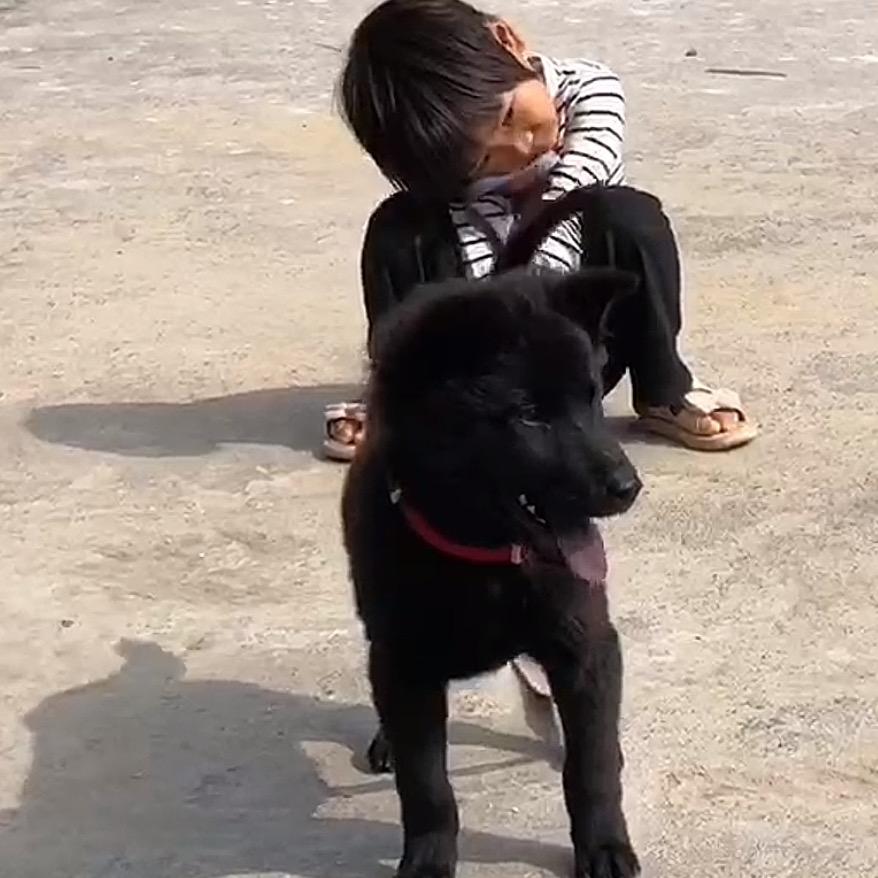 朋仔养殖好货店