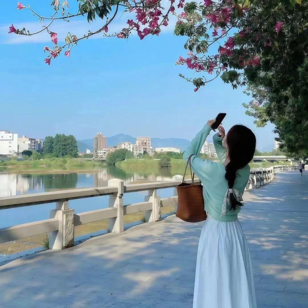 十一.🎀