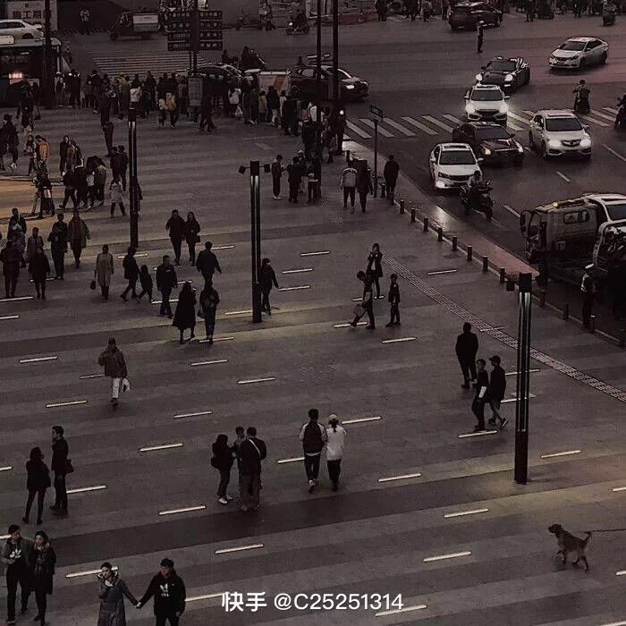 .磊子