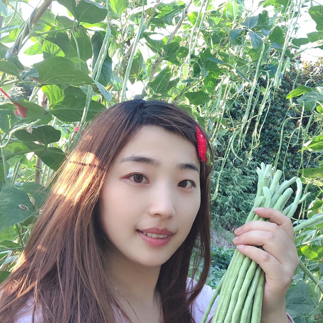 向往田园的周周