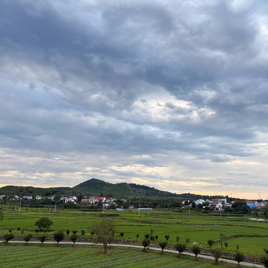 梁向峰