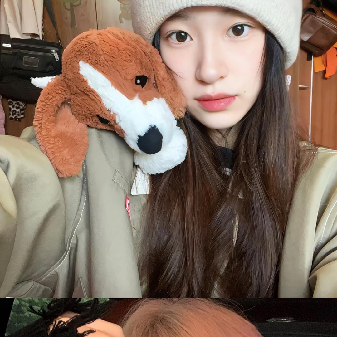 肥肥。