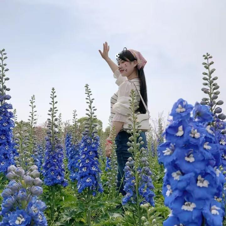 花百万@