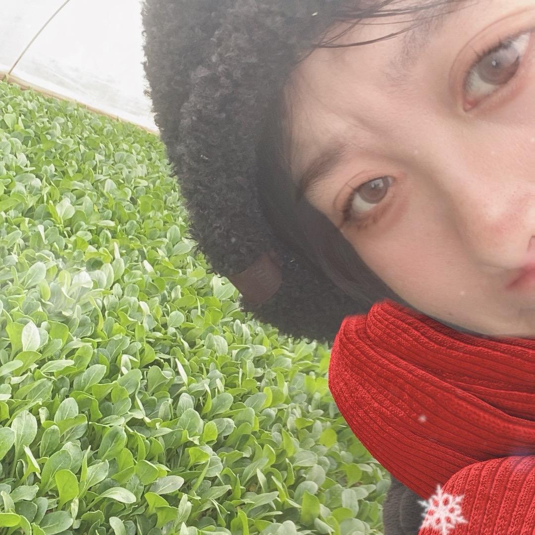 @贝贝在农村